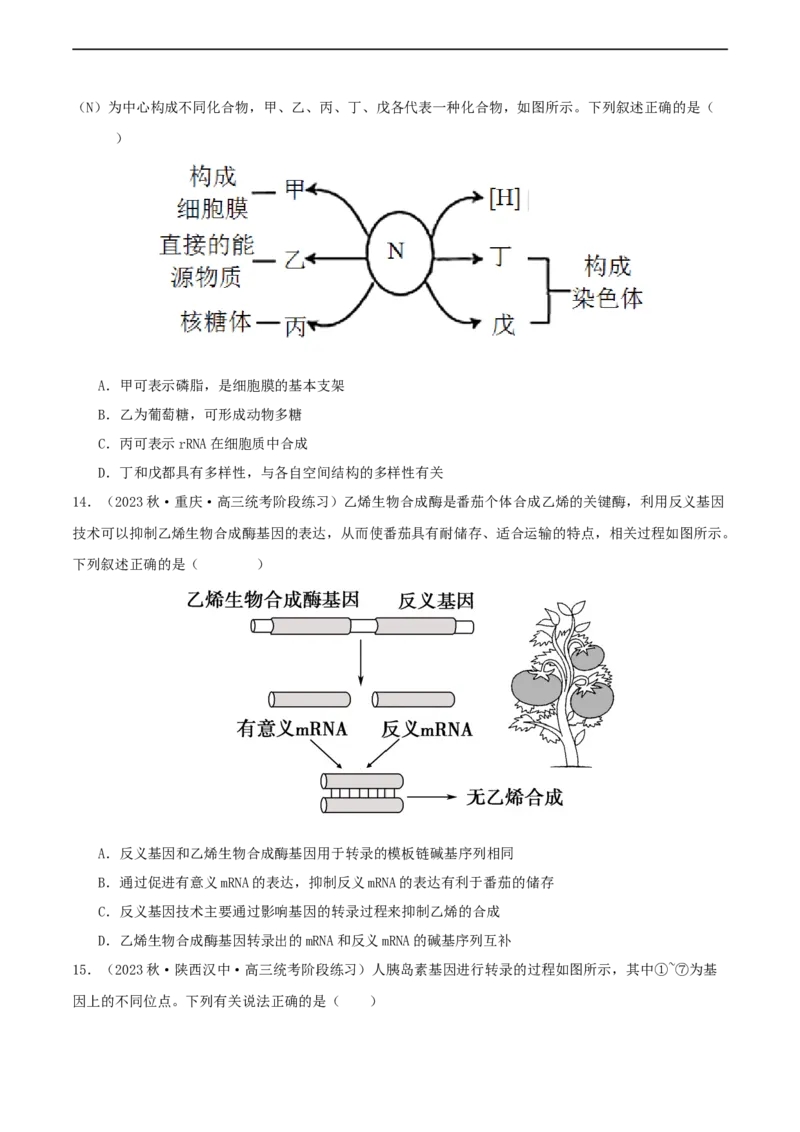 专题综合练06基因的表达(原卷版)_新高考复习资料_2024年新高考复习资料_一轮复习资料_完备战2024年高考生物一轮复习考点帮（新高考）_必修2