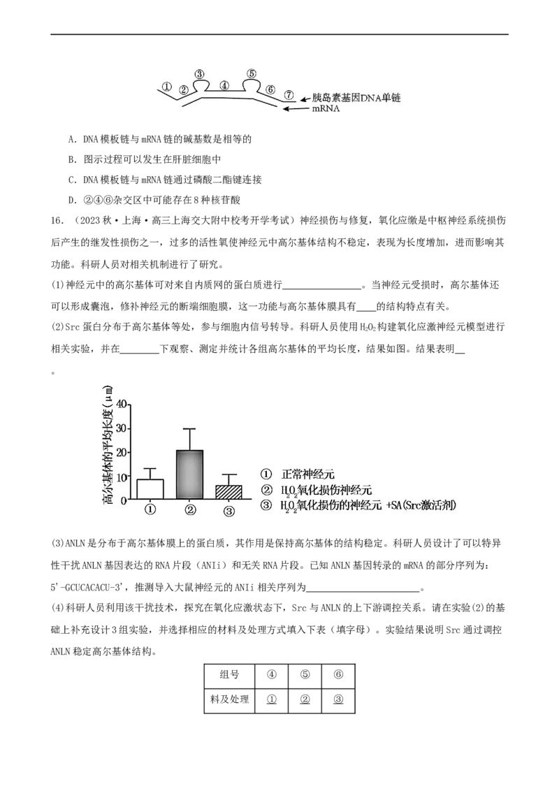专题综合练06基因的表达(原卷版)_新高考复习资料_2024年新高考复习资料_一轮复习资料_完备战2024年高考生物一轮复习考点帮（新高考）_必修2