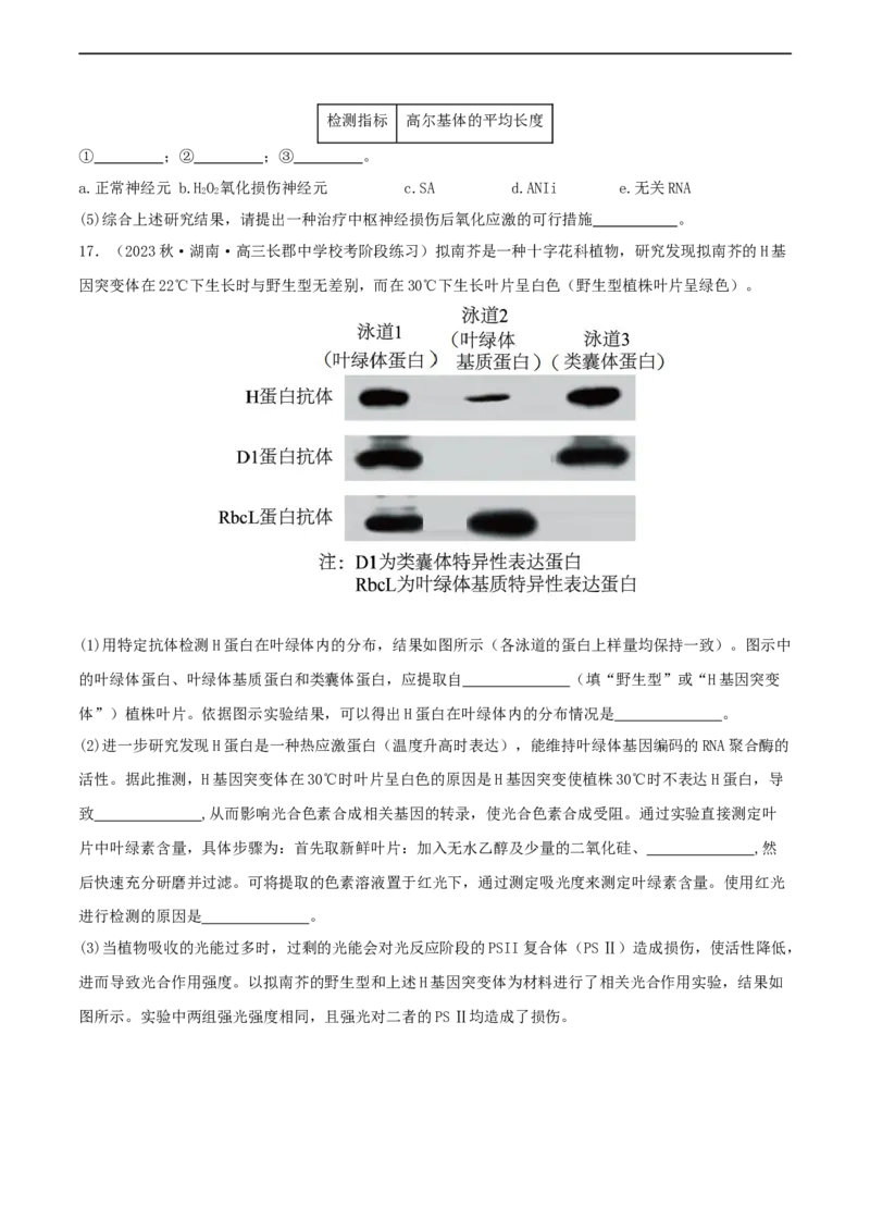 专题综合练06基因的表达(原卷版)_新高考复习资料_2024年新高考复习资料_一轮复习资料_完备战2024年高考生物一轮复习考点帮（新高考）_必修2