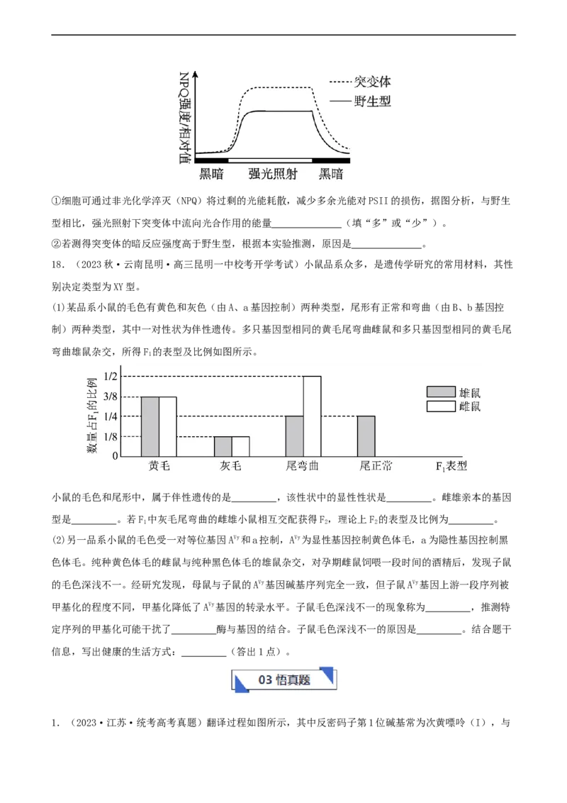 专题综合练06基因的表达(原卷版)_新高考复习资料_2024年新高考复习资料_一轮复习资料_完备战2024年高考生物一轮复习考点帮（新高考）_必修2