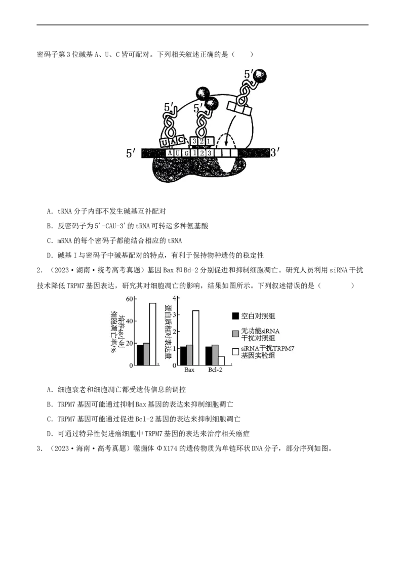 专题综合练06基因的表达(原卷版)_新高考复习资料_2024年新高考复习资料_一轮复习资料_完备战2024年高考生物一轮复习考点帮（新高考）_必修2