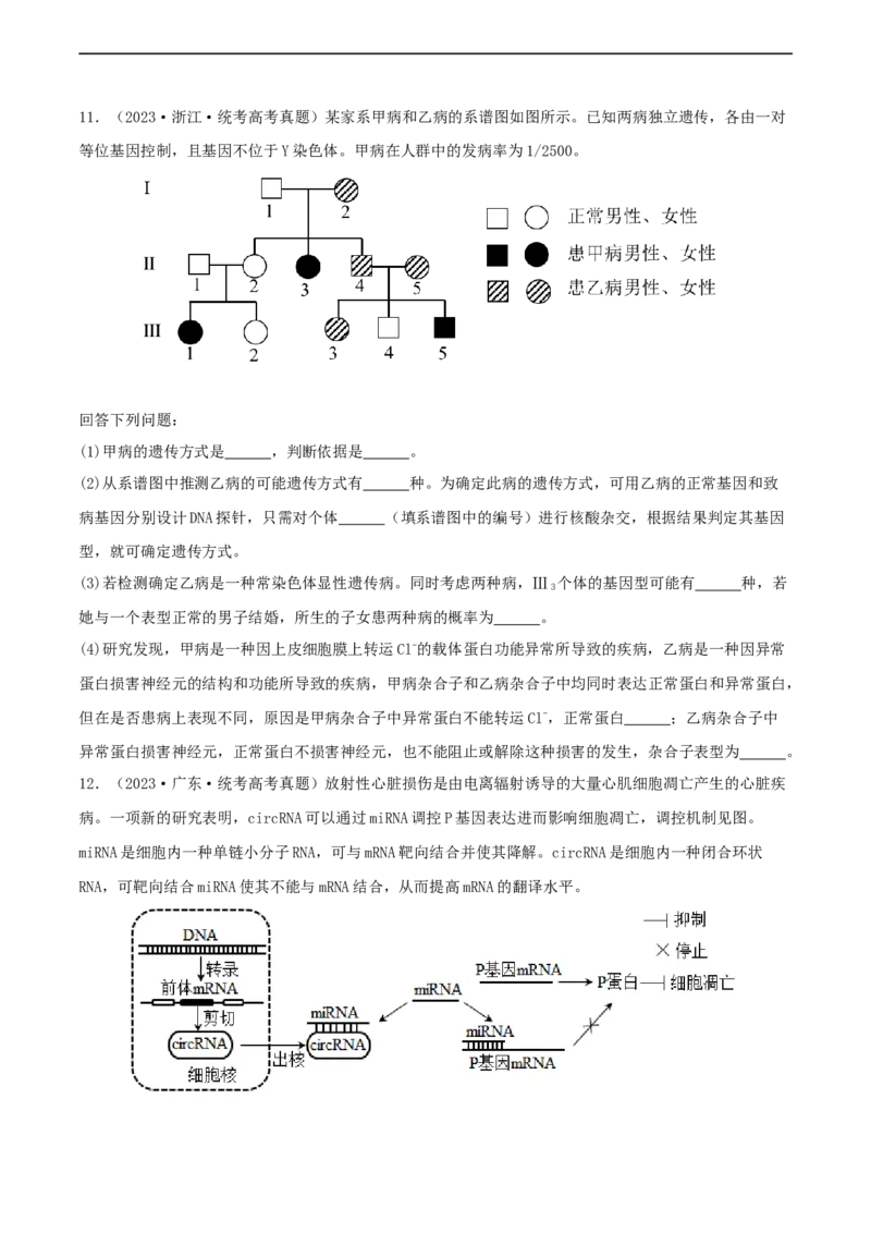 专题综合练06基因的表达(原卷版)_新高考复习资料_2024年新高考复习资料_一轮复习资料_完备战2024年高考生物一轮复习考点帮（新高考）_必修2