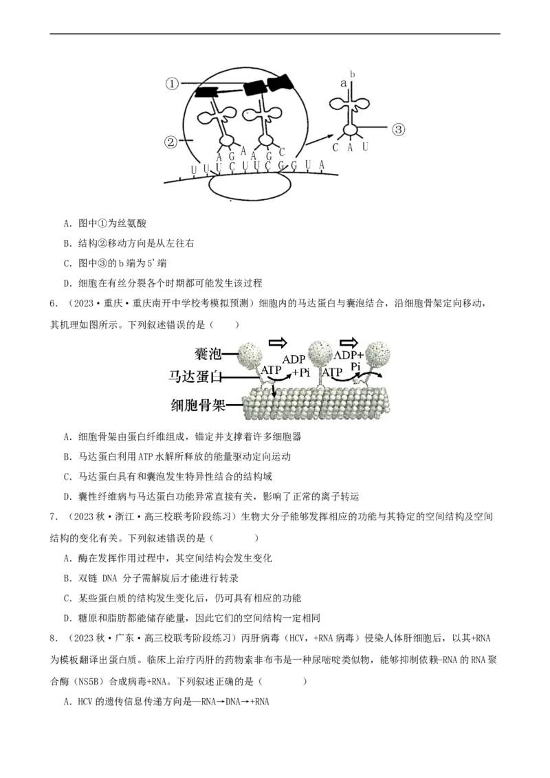专题综合练06基因的表达(原卷版)_新高考复习资料_2024年新高考复习资料_一轮复习资料_完备战2024年高考生物一轮复习考点帮（新高考）_必修2