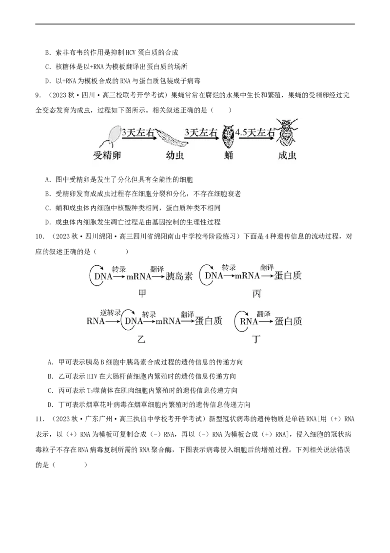 专题综合练06基因的表达(原卷版)_新高考复习资料_2024年新高考复习资料_一轮复习资料_完备战2024年高考生物一轮复习考点帮（新高考）_必修2