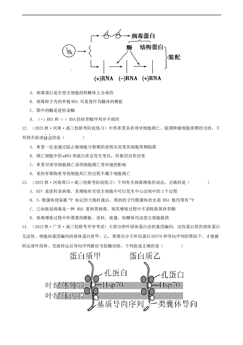 专题综合练06基因的表达(原卷版)_新高考复习资料_2024年新高考复习资料_一轮复习资料_完备战2024年高考生物一轮复习考点帮（新高考）_必修2