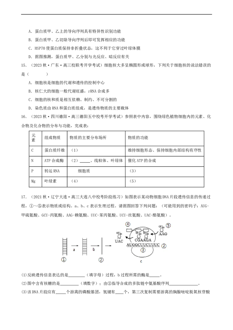 专题综合练06基因的表达(原卷版)_新高考复习资料_2024年新高考复习资料_一轮复习资料_完备战2024年高考生物一轮复习考点帮（新高考）_必修2