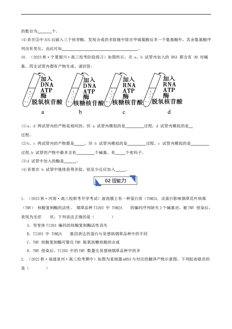 专题综合练06基因的表达(原卷版)_新高考复习资料_2024年新高考复习资料_一轮复习资料_完备战2024年高考生物一轮复习考点帮（新高考）_必修2