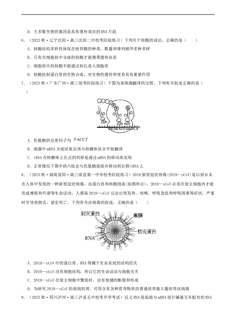 专题综合练06基因的表达(原卷版)_新高考复习资料_2024年新高考复习资料_一轮复习资料_完备战2024年高考生物一轮复习考点帮（新高考）_必修2