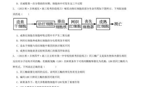 专题综合练06基因的表达(原卷版)_新高考复习资料_2024年新高考复习资料_一轮复习资料_完备战2024年高考生物一轮复习考点帮（新高考）_必修2