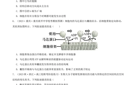专题综合练06基因的表达(原卷版)_新高考复习资料_2024年新高考复习资料_一轮复习资料_完备战2024年高考生物一轮复习考点帮（新高考）_必修2