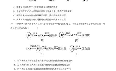 专题综合练06基因的表达(原卷版)_新高考复习资料_2024年新高考复习资料_一轮复习资料_完备战2024年高考生物一轮复习考点帮（新高考）_必修2