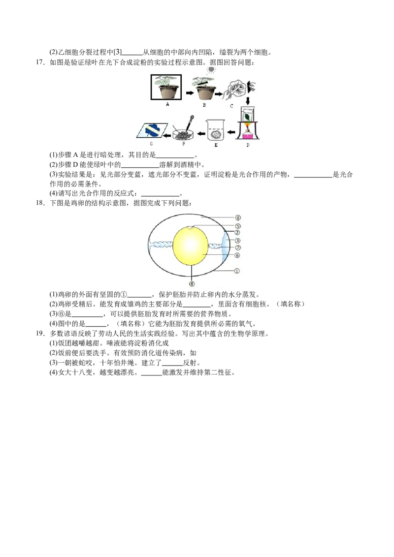 生物（连云港卷）（考试版A4）_初中全科电子版试卷练习试题_生物_2024中考模拟题生物(1)_二模_生物（连云港卷）-：2024年中考第二次模拟考试
