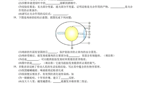 生物（连云港卷）（考试版A4）_初中全科电子版试卷练习试题_生物_2024中考模拟题生物(1)_二模_生物（连云港卷）-：2024年中考第二次模拟考试