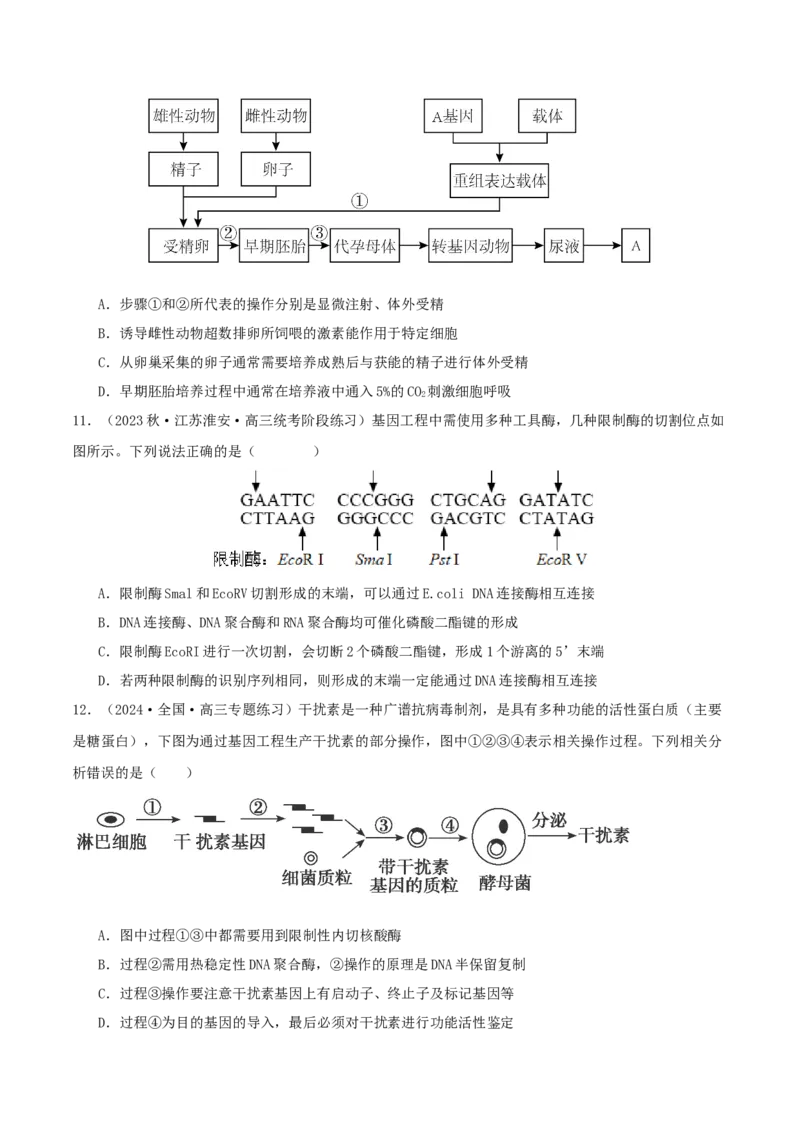 专题综合练11发酵工程、细胞工程和基因工程(原卷版)_新高考复习资料_2024年新高考复习资料_一轮复习资料_完备战2024年高考生物一轮复习考点帮（新高考）_选择性必修3
