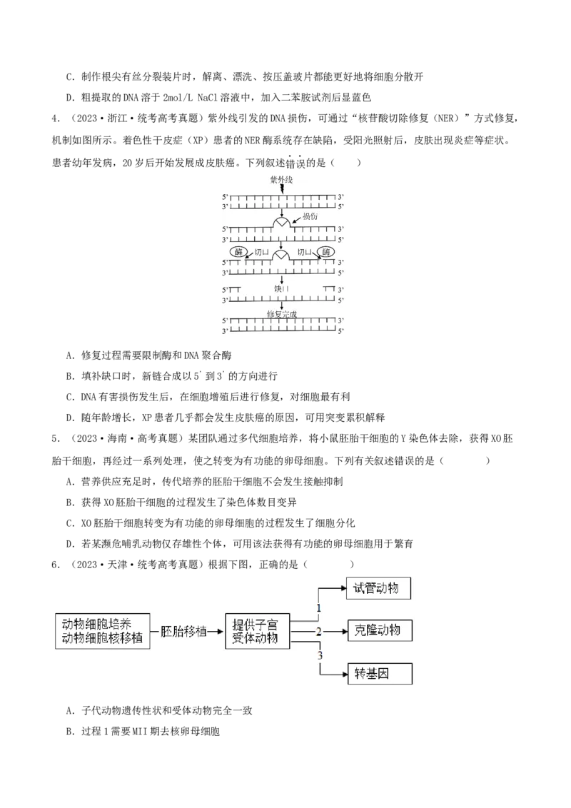 专题综合练11发酵工程、细胞工程和基因工程(原卷版)_新高考复习资料_2024年新高考复习资料_一轮复习资料_完备战2024年高考生物一轮复习考点帮（新高考）_选择性必修3