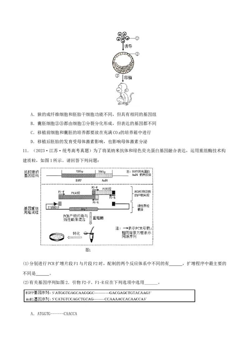 专题综合练11发酵工程、细胞工程和基因工程(原卷版)_新高考复习资料_2024年新高考复习资料_一轮复习资料_完备战2024年高考生物一轮复习考点帮（新高考）_选择性必修3