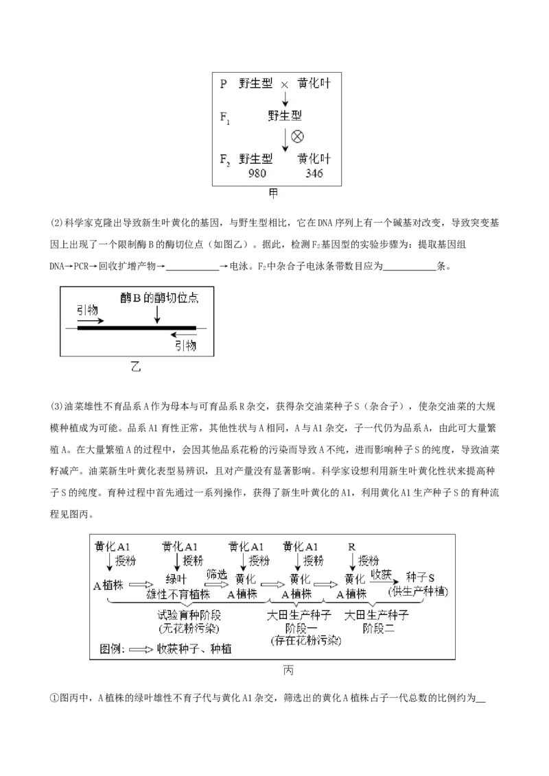 专题综合练11发酵工程、细胞工程和基因工程(原卷版)_新高考复习资料_2024年新高考复习资料_一轮复习资料_完备战2024年高考生物一轮复习考点帮（新高考）_选择性必修3