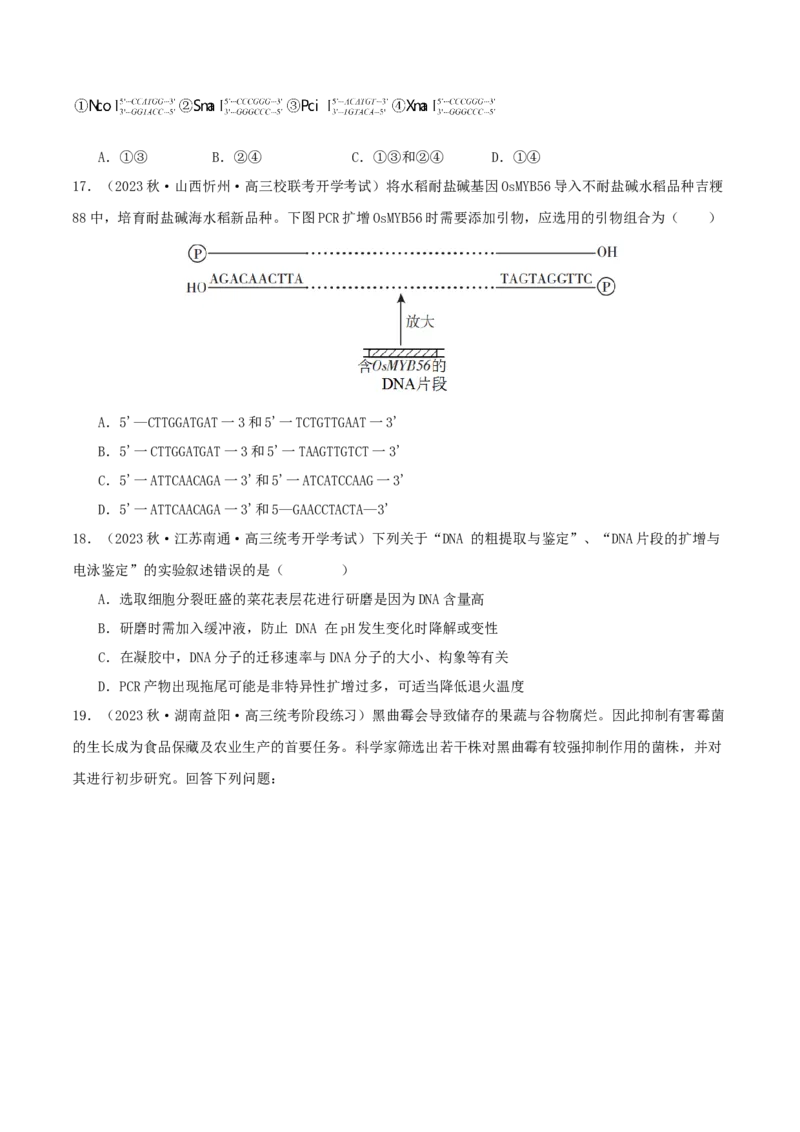 专题综合练11发酵工程、细胞工程和基因工程(原卷版)_新高考复习资料_2024年新高考复习资料_一轮复习资料_完备战2024年高考生物一轮复习考点帮（新高考）_选择性必修3