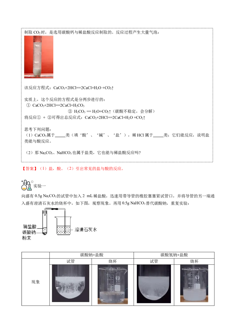 第9讲常见盐（解析版）_初中全科电子版试卷练习试题_化学_9年级上下册化学试题_9年级下试题_人教化学九年级下专项练习（013份）