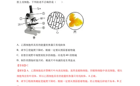 第2单元（第1章）细胞是生命活动的基本单位（提分小卷）（人教版）（解析版）_初中全科电子版试卷练习试题_生物_生物人教版7上练习&mdash;24新版已更新