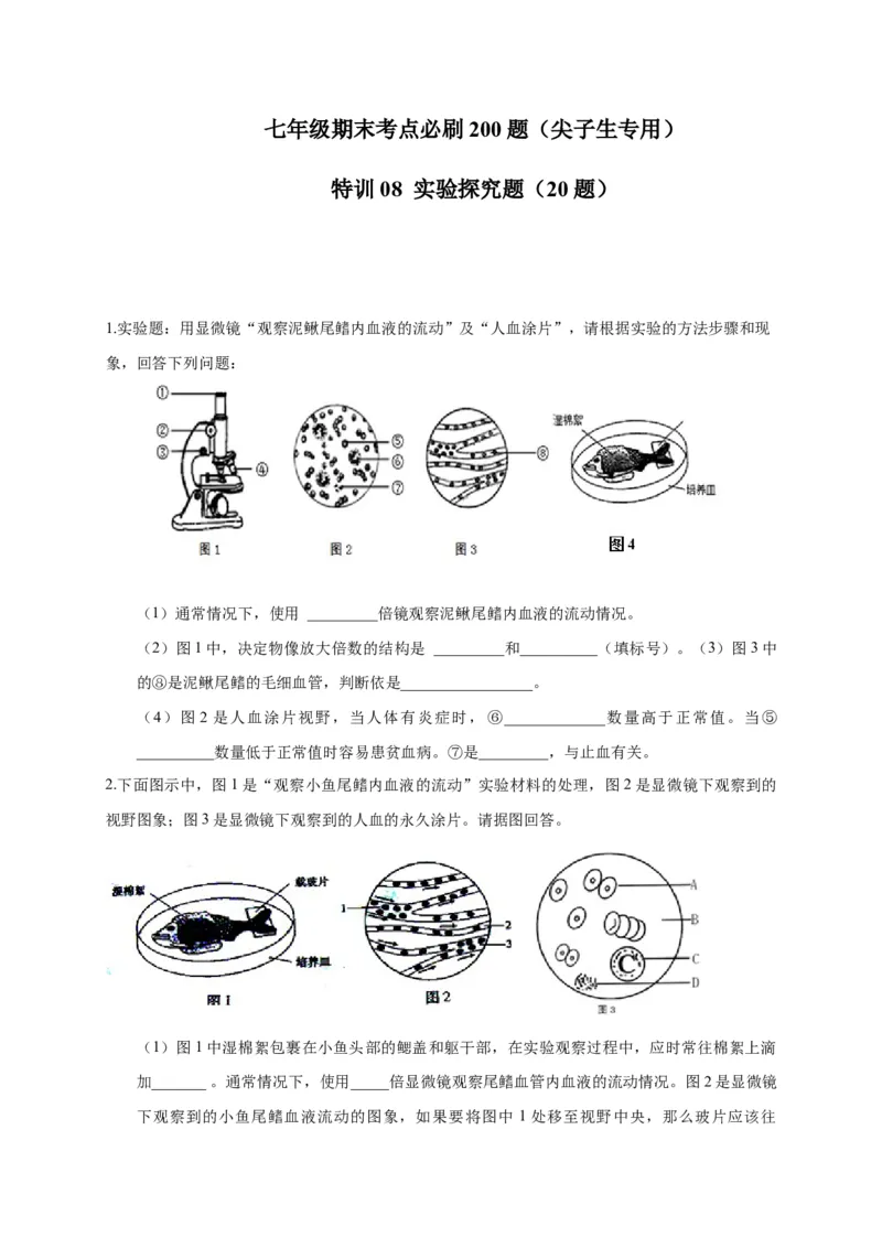 特训08实验探究题（20题）-（尖子生专用）（考试版）_初中全科电子版试卷练习试题_生物_生物人教版7下练习_人教生物7年级下专项练习16份