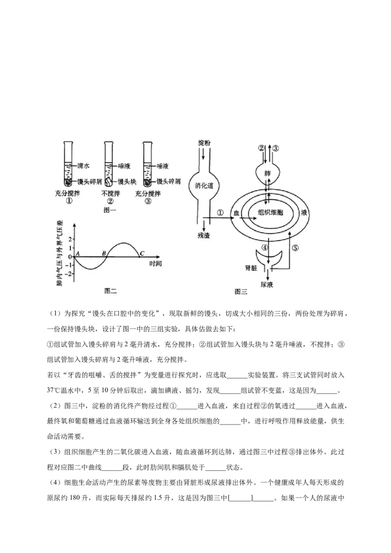 特训08实验探究题（20题）-（尖子生专用）（考试版）_初中全科电子版试卷练习试题_生物_生物人教版7下练习_人教生物7年级下专项练习16份