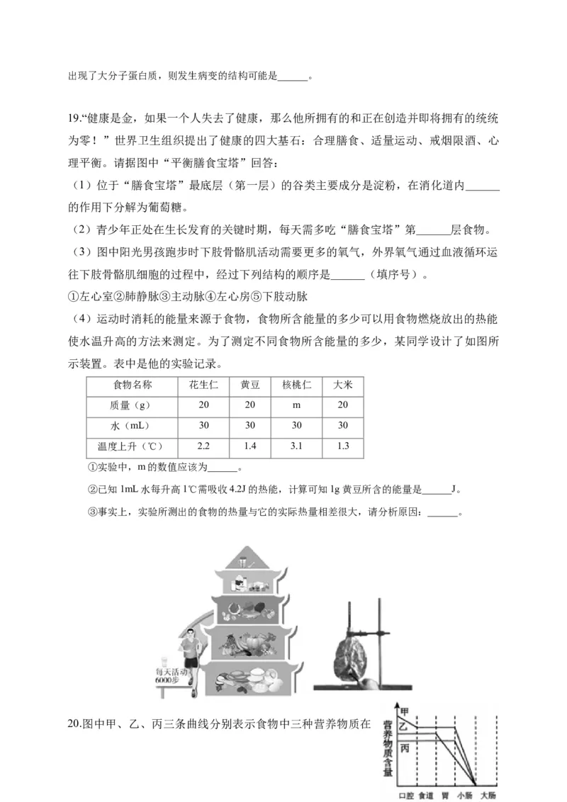 特训08实验探究题（20题）-（尖子生专用）（考试版）_初中全科电子版试卷练习试题_生物_生物人教版7下练习_人教生物7年级下专项练习16份