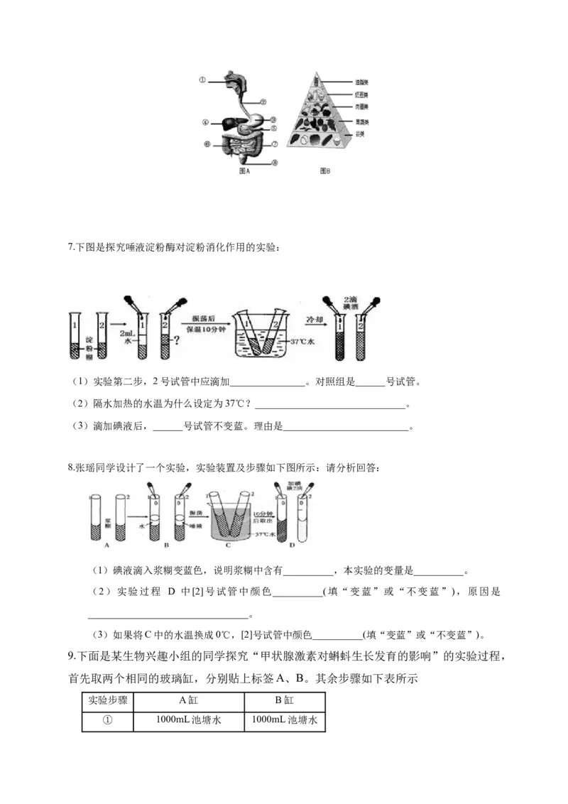 特训08实验探究题（20题）-（尖子生专用）（考试版）_初中全科电子版试卷练习试题_生物_生物人教版7下练习_人教生物7年级下专项练习16份