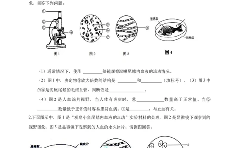 特训08实验探究题（20题）-（尖子生专用）（考试版）_初中全科电子版试卷练习试题_生物_生物人教版7下练习_人教生物7年级下专项练习16份