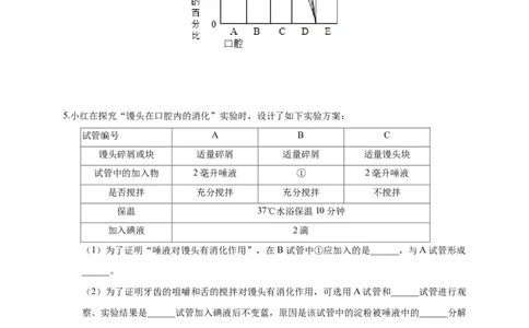 特训08实验探究题（20题）-（尖子生专用）（考试版）_初中全科电子版试卷练习试题_生物_生物人教版7下练习_人教生物7年级下专项练习16份