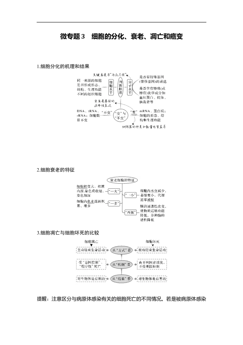 专题三细胞的生命历程（原卷版）_新高考复习资料_2023年新高考复习资料_二轮复习_过二轮备战2023年高考生物二轮专题剖析与综合训练（新教材）