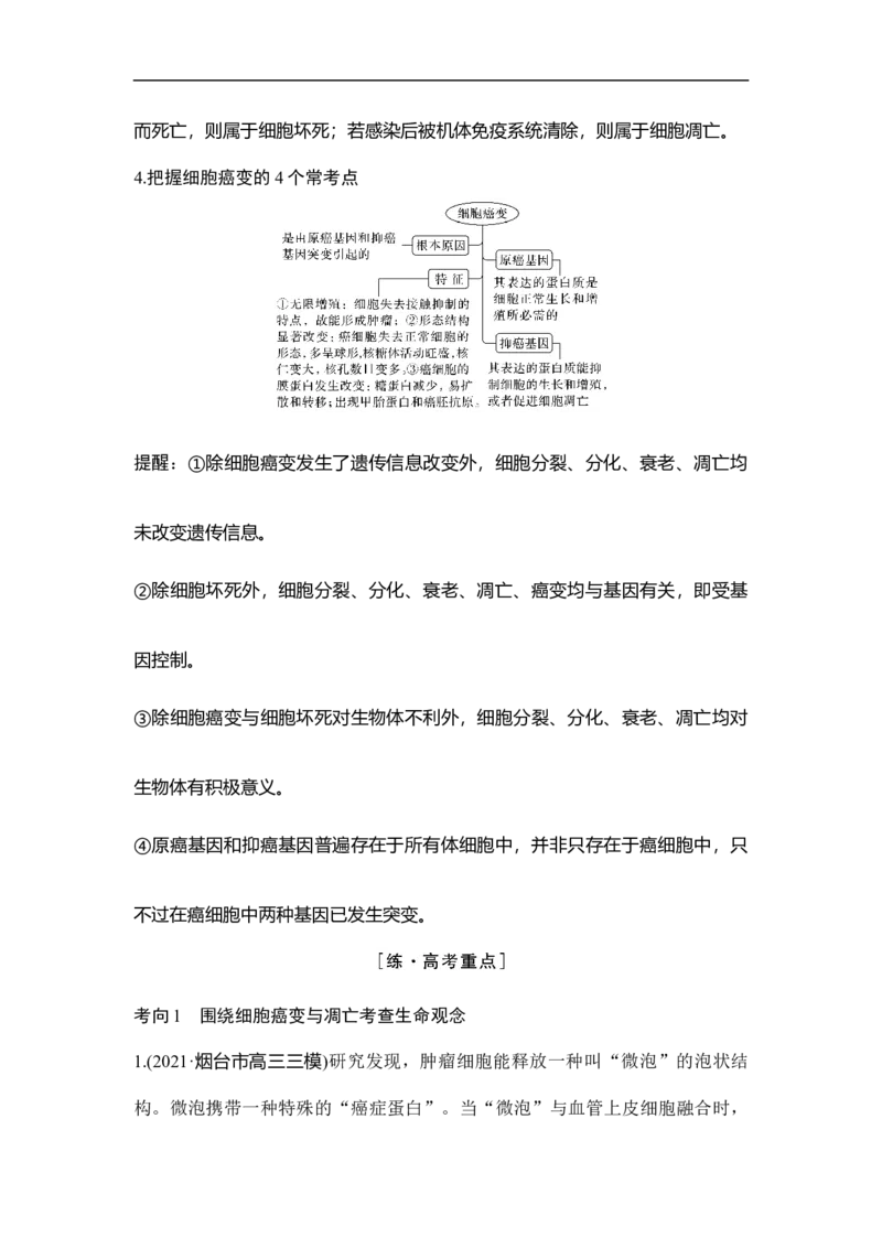 专题三细胞的生命历程（原卷版）_新高考复习资料_2023年新高考复习资料_二轮复习_过二轮备战2023年高考生物二轮专题剖析与综合训练（新教材）