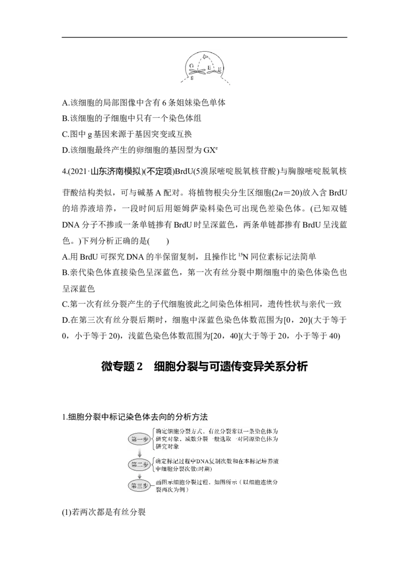 专题三细胞的生命历程（原卷版）_新高考复习资料_2023年新高考复习资料_二轮复习_过二轮备战2023年高考生物二轮专题剖析与综合训练（新教材）