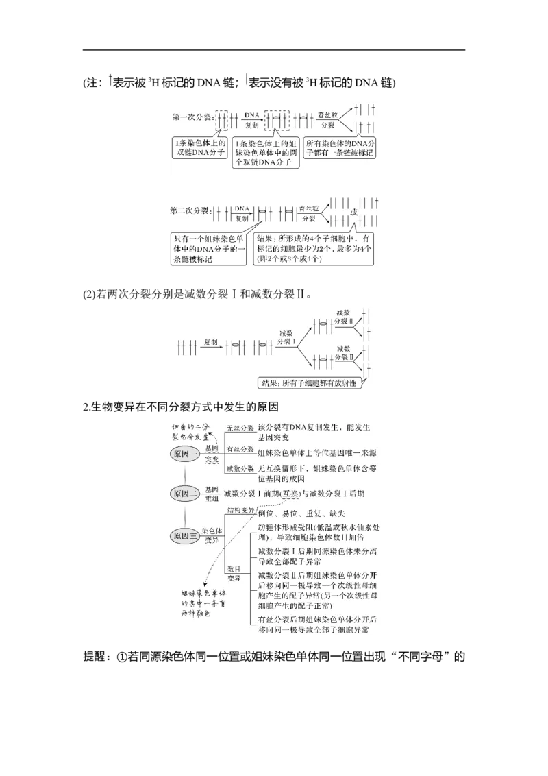 专题三细胞的生命历程（原卷版）_新高考复习资料_2023年新高考复习资料_二轮复习_过二轮备战2023年高考生物二轮专题剖析与综合训练（新教材）