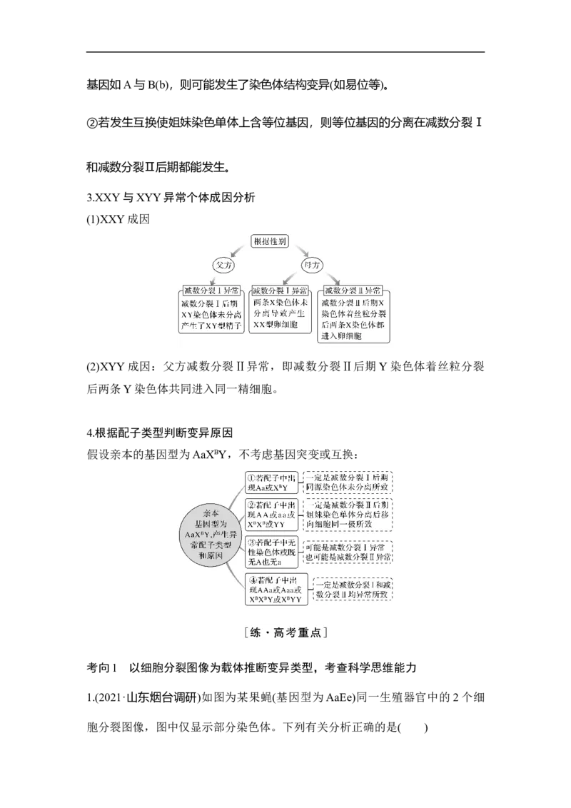 专题三细胞的生命历程（原卷版）_新高考复习资料_2023年新高考复习资料_二轮复习_过二轮备战2023年高考生物二轮专题剖析与综合训练（新教材）