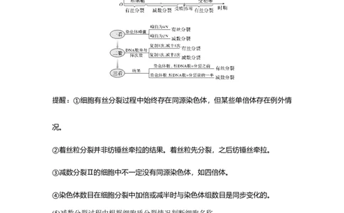 专题三细胞的生命历程（原卷版）_新高考复习资料_2023年新高考复习资料_二轮复习_过二轮备战2023年高考生物二轮专题剖析与综合训练（新教材）