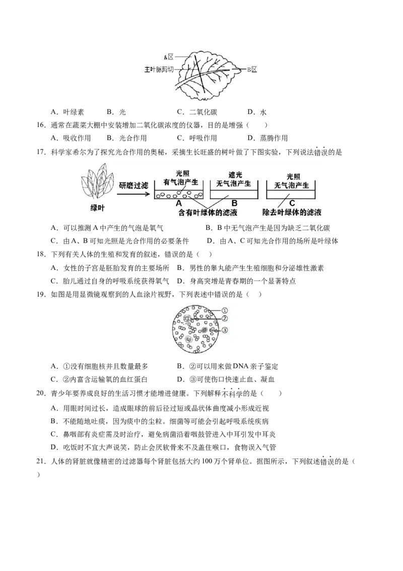生物（新疆卷）（考试版A4）_初中全科电子版试卷练习试题_生物_2024中考模拟题生物(1)_一模_生物（新疆卷）-2024年中考第一次模拟考试