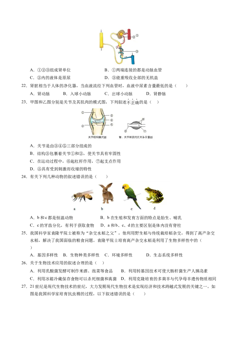 生物（新疆卷）（考试版A4）_初中全科电子版试卷练习试题_生物_2024中考模拟题生物(1)_一模_生物（新疆卷）-2024年中考第一次模拟考试