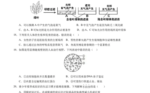 生物（新疆卷）（考试版A4）_初中全科电子版试卷练习试题_生物_2024中考模拟题生物(1)_一模_生物（新疆卷）-2024年中考第一次模拟考试