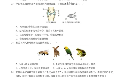 生物（新疆卷）（考试版A4）_初中全科电子版试卷练习试题_生物_2024中考模拟题生物(1)_一模_生物（新疆卷）-2024年中考第一次模拟考试