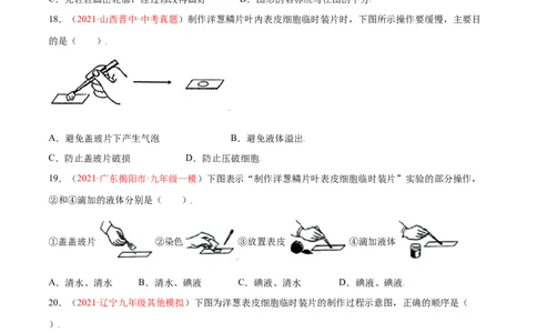 第02单元第01章细胞是生命活动的基本单位测试（A卷劣实基础）（原卷版）_初中全科电子版试卷练习试题_生物_生物人教版7上练习&mdash;24新版已更新_人教生物7年级上单元试卷36份