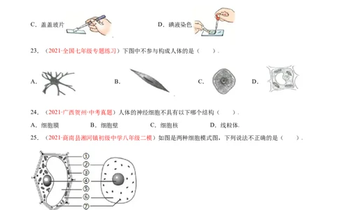 第02单元第01章细胞是生命活动的基本单位测试（A卷劣实基础）（原卷版）_初中全科电子版试卷练习试题_生物_生物人教版7上练习&mdash;24新版已更新_人教生物7年级上单元试卷36份