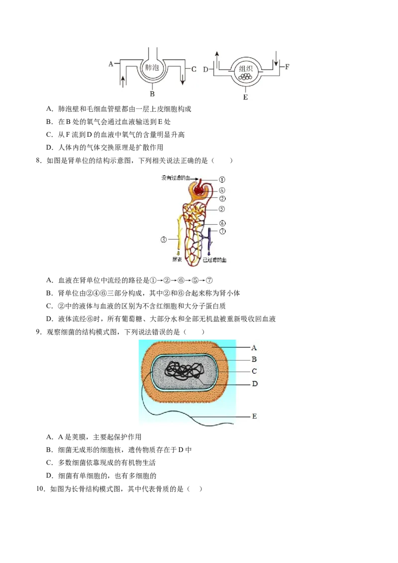 生物（南通卷）（考试版A4）_初中全科电子版试卷练习试题_生物_2024中考模拟题生物(1)_一模_生物（南通卷）-2024年中考第一次模拟考试