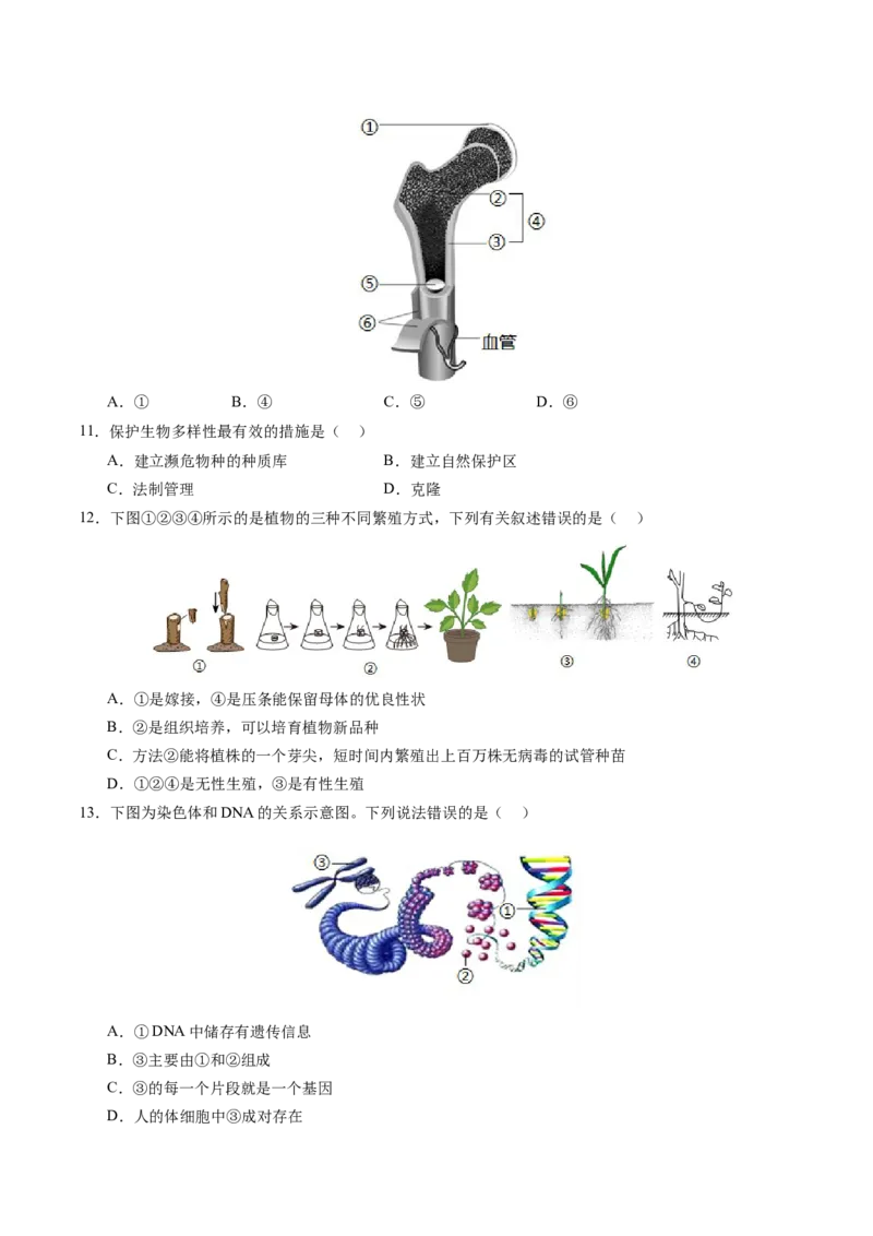 生物（南通卷）（考试版A4）_初中全科电子版试卷练习试题_生物_2024中考模拟题生物(1)_一模_生物（南通卷）-2024年中考第一次模拟考试