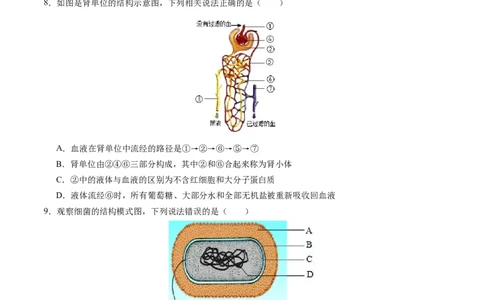 生物（南通卷）（考试版A4）_初中全科电子版试卷练习试题_生物_2024中考模拟题生物(1)_一模_生物（南通卷）-2024年中考第一次模拟考试