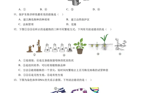 生物（南通卷）（考试版A4）_初中全科电子版试卷练习试题_生物_2024中考模拟题生物(1)_一模_生物（南通卷）-2024年中考第一次模拟考试