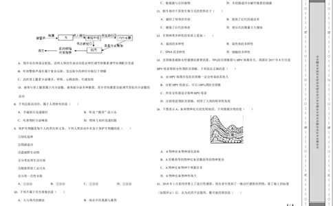 生物（河北卷）（考试版A3)_初中全科电子版试卷练习试题_生物_2024中考模拟题生物(1)_一模_生物（河北卷）-2024年中考第一次模拟考试