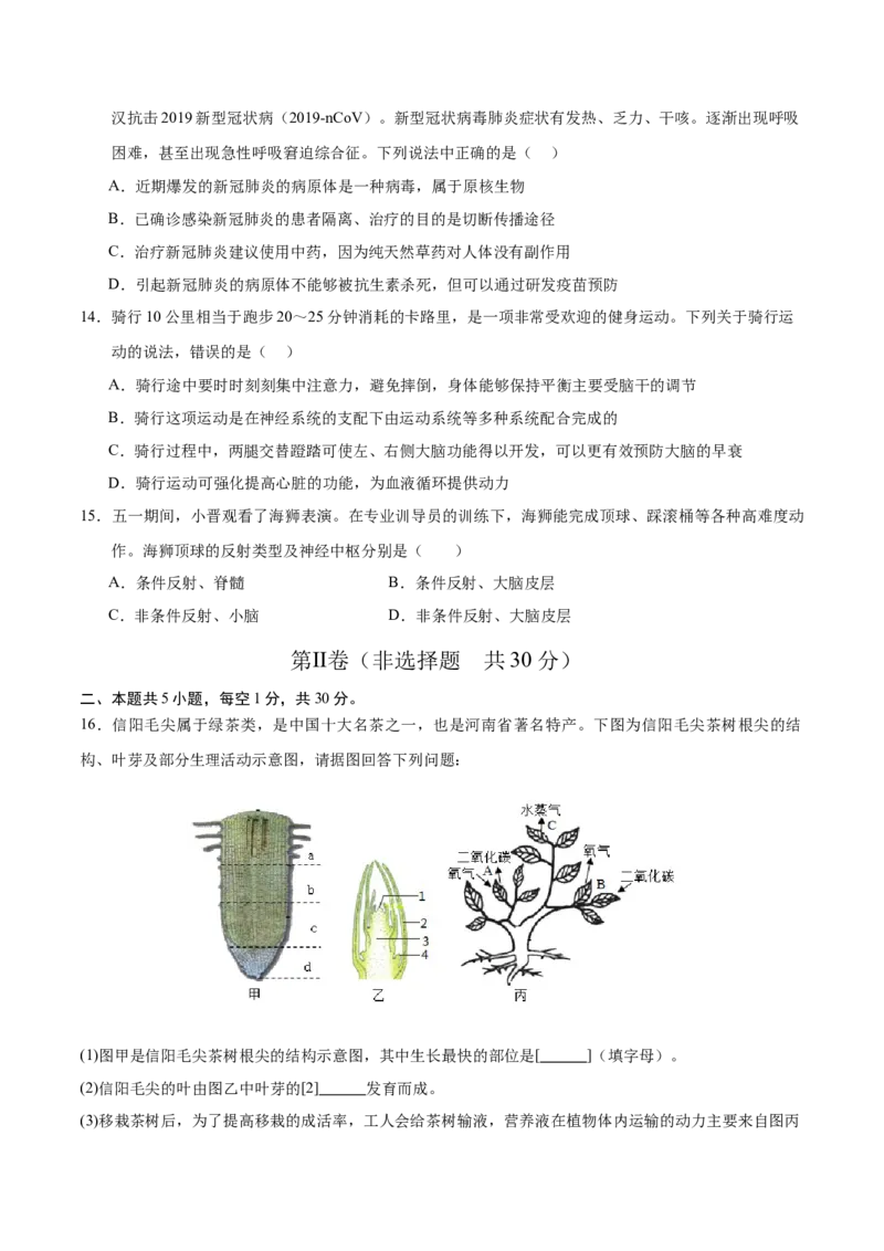 生物（广西卷）（考试版A4）_初中全科电子版试卷练习试题_生物_2024中考模拟题生物(1)_二模_生物（广西卷）-：2024年中考第二次模拟考试