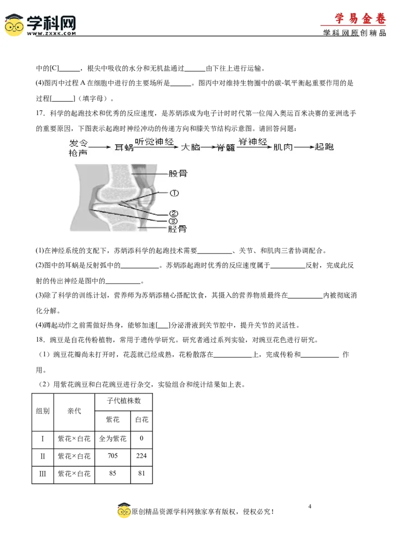 生物（广西卷）（考试版A4）_初中全科电子版试卷练习试题_生物_2024中考模拟题生物(1)_二模_生物（广西卷）-：2024年中考第二次模拟考试