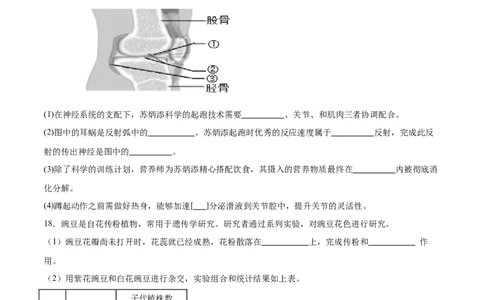 生物（广西卷）（考试版A4）_初中全科电子版试卷练习试题_生物_2024中考模拟题生物(1)_二模_生物（广西卷）-：2024年中考第二次模拟考试